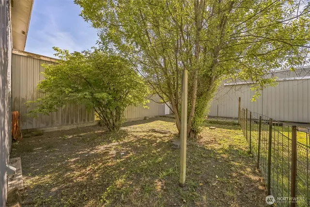 a view of back yard of the house