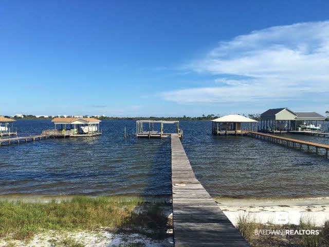 31820 River Road Orange Beach, AL 36561 - Photo 2 of 10