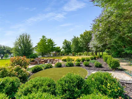 a view of a garden with plants