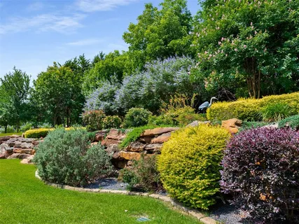 a view of a park with large trees