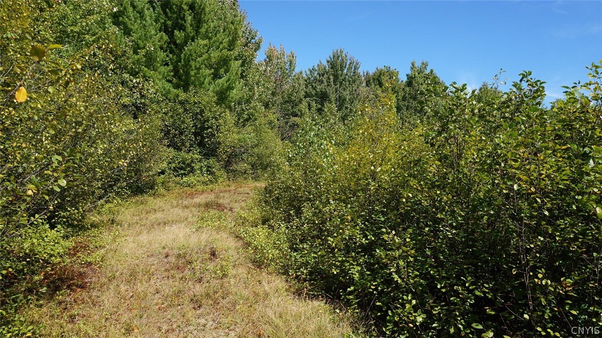 276 County Rte 15 Boylston, NY 13083 - Photo 37 of 40