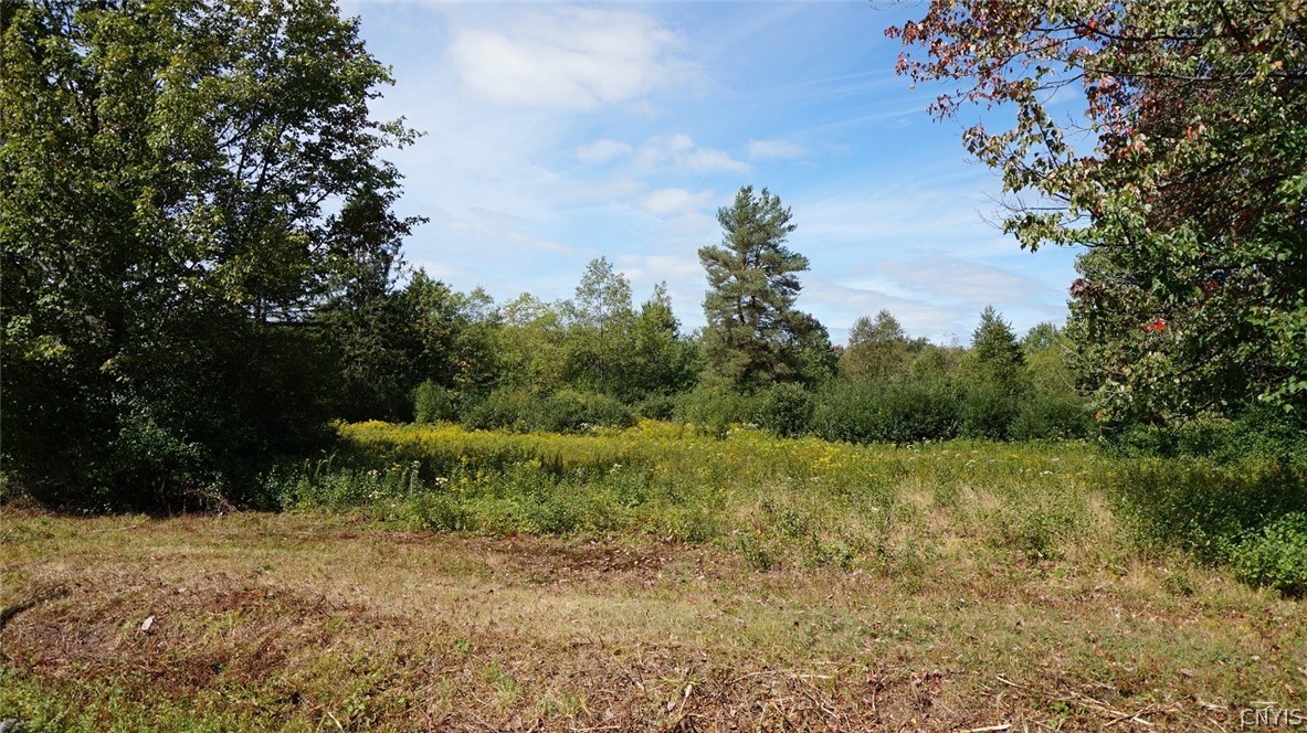 276 County Rte 15 Boylston, NY 13083 - Photo 39 of 40