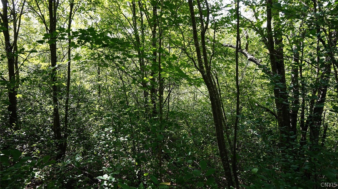 276 County Rte 15 Boylston, NY 13083 - Photo 40 of 40