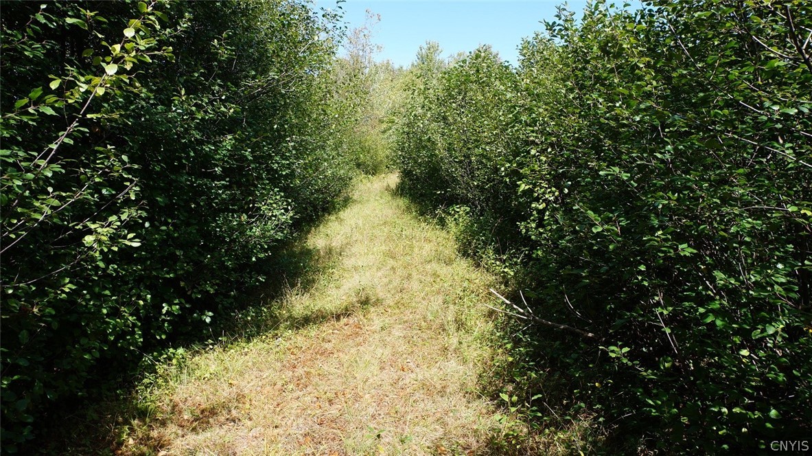 276 County Rte 15 Boylston, NY 13083 - Photo 4 of 40