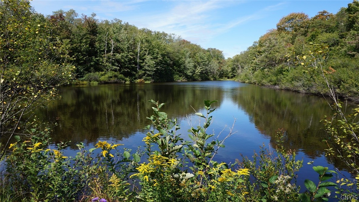 276 County Rte 15 Boylston, NY 13083 - Photo 5 of 40