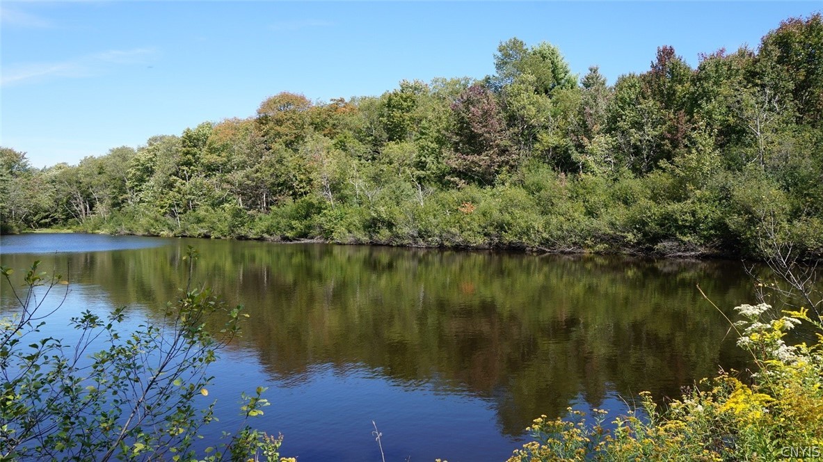 276 County Rte 15 Boylston, NY 13083 - Photo 6 of 40