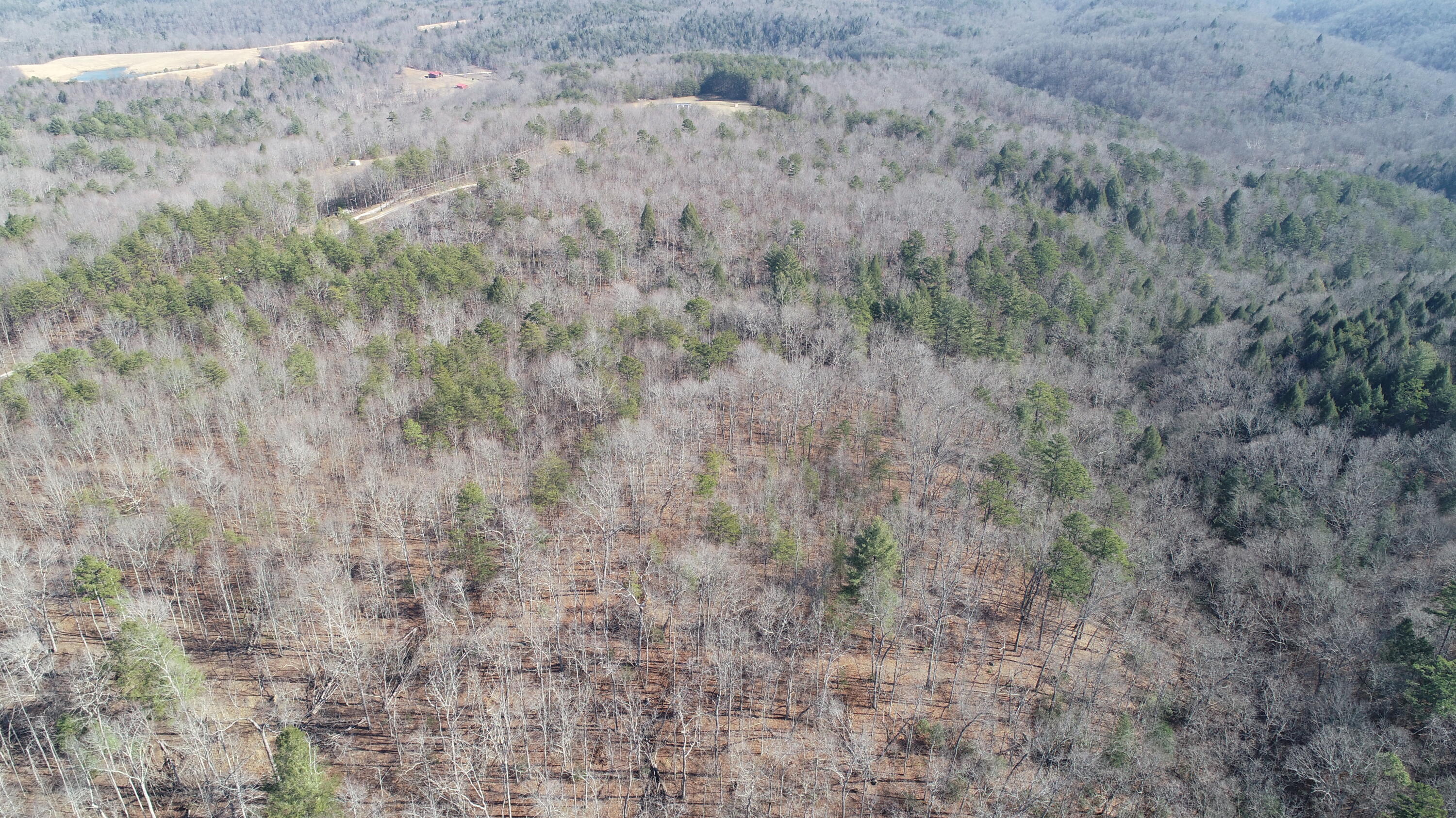 777 Rocky Point School Road Williamsburg, KY 40769 - Photo 28 of 31 DJI_0259