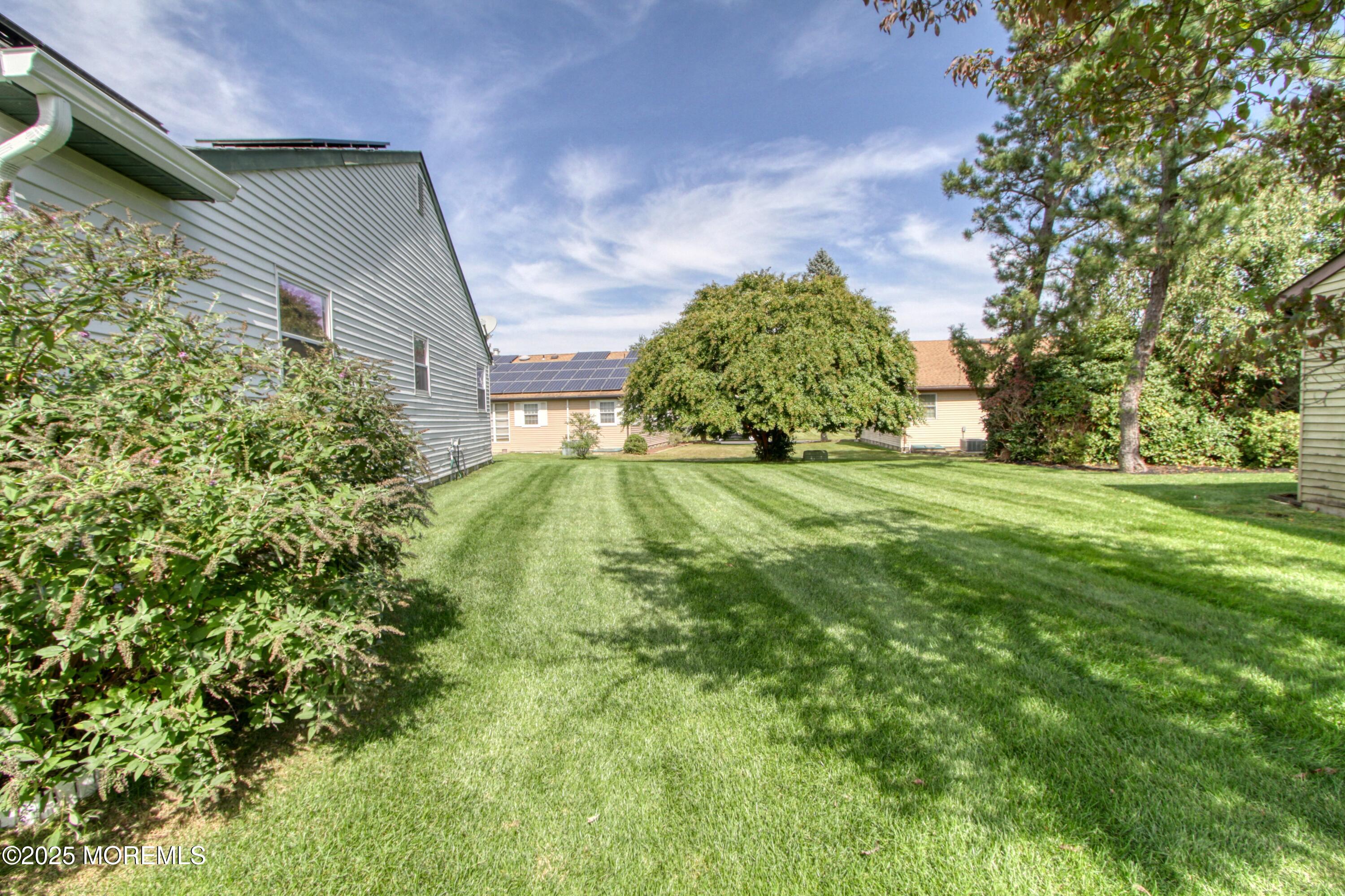 2 Norwood Court Whiting, NJ 08759 - Photo 13 of 22 a view of a big yard with plants and large trees