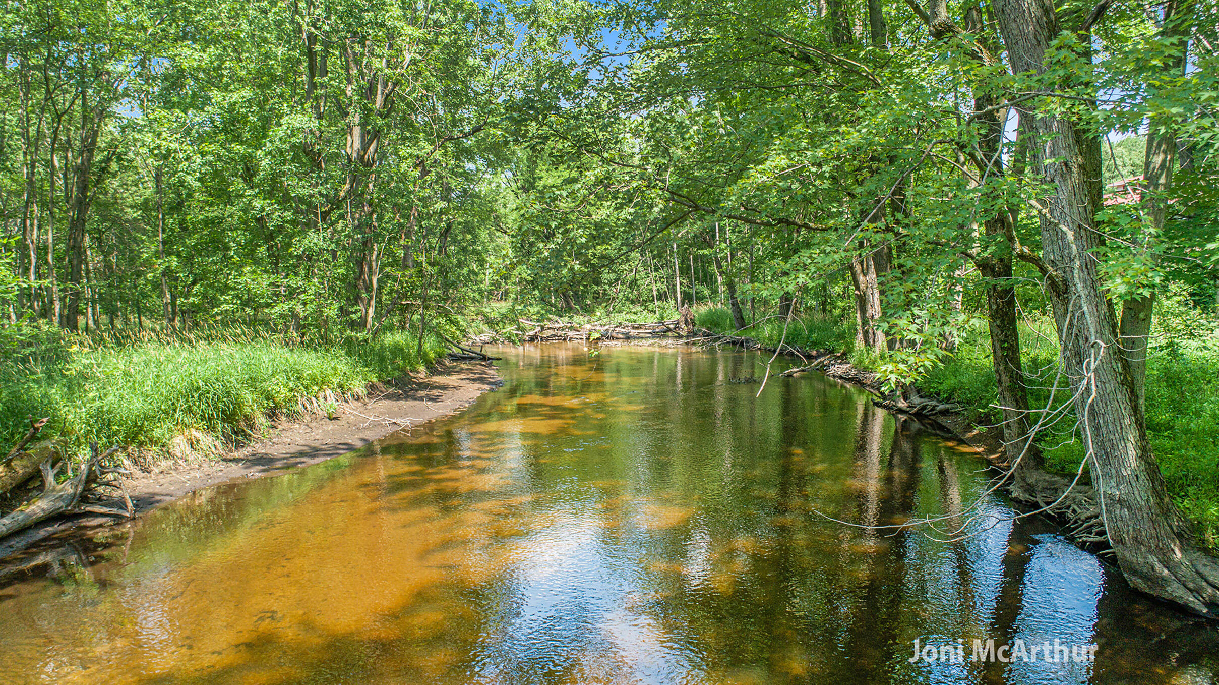 3610 Johnson Road Greenville, MI 48838 - Photo 1 of 17 Flat River Frontage