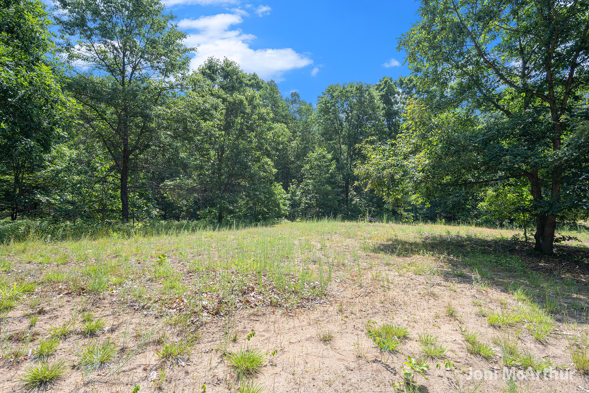 3610 Johnson Road Greenville, MI 48838 - Photo 11 of 17 3610SJohnson_10