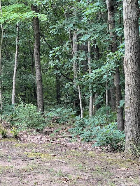 3610 Johnson Road Greenville, MI 48838 - Photo 15 of 17 IMG_7104