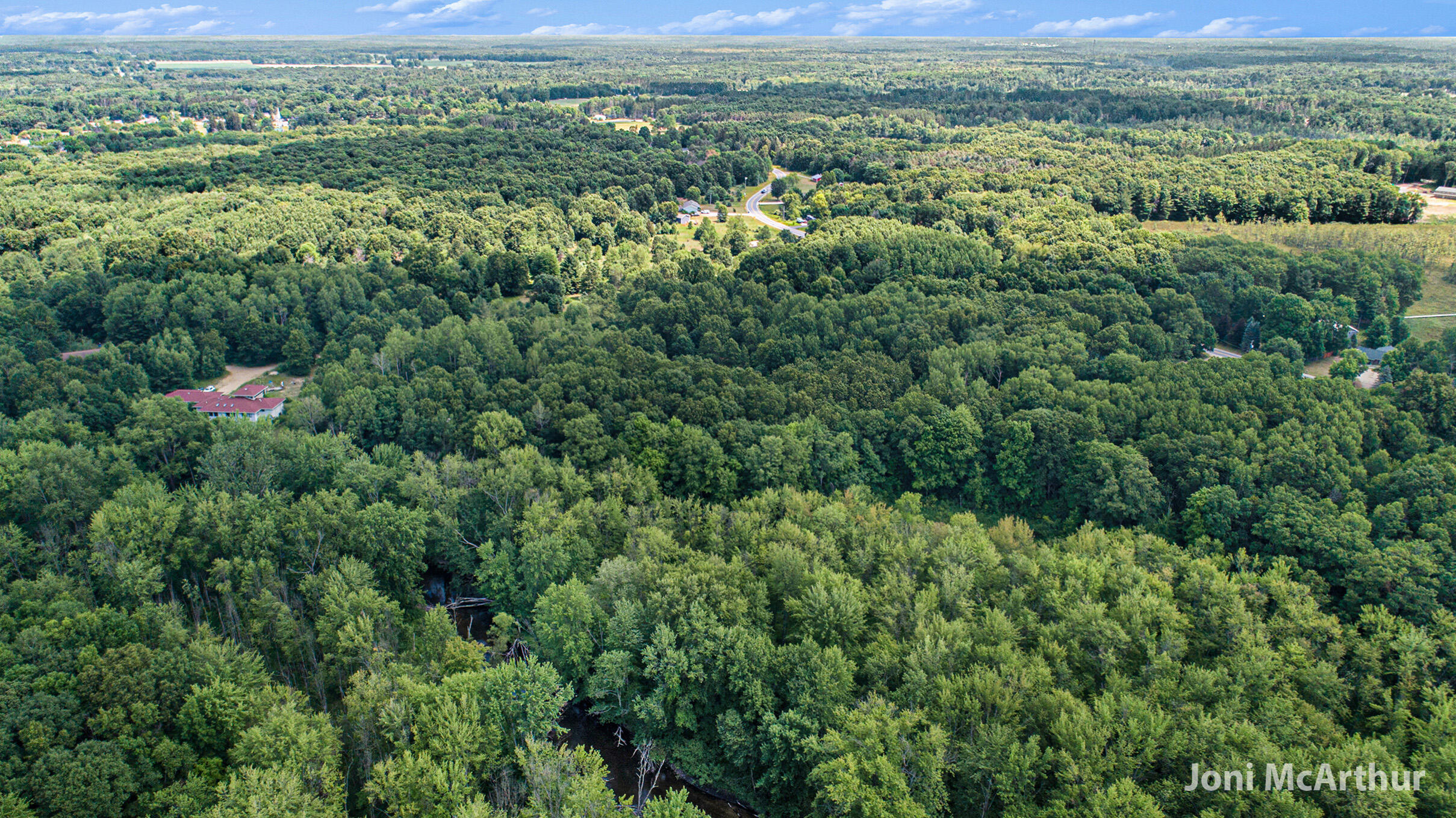 3610 Johnson Road Greenville, MI 48838 - Photo 17 of 17 DJI_0506