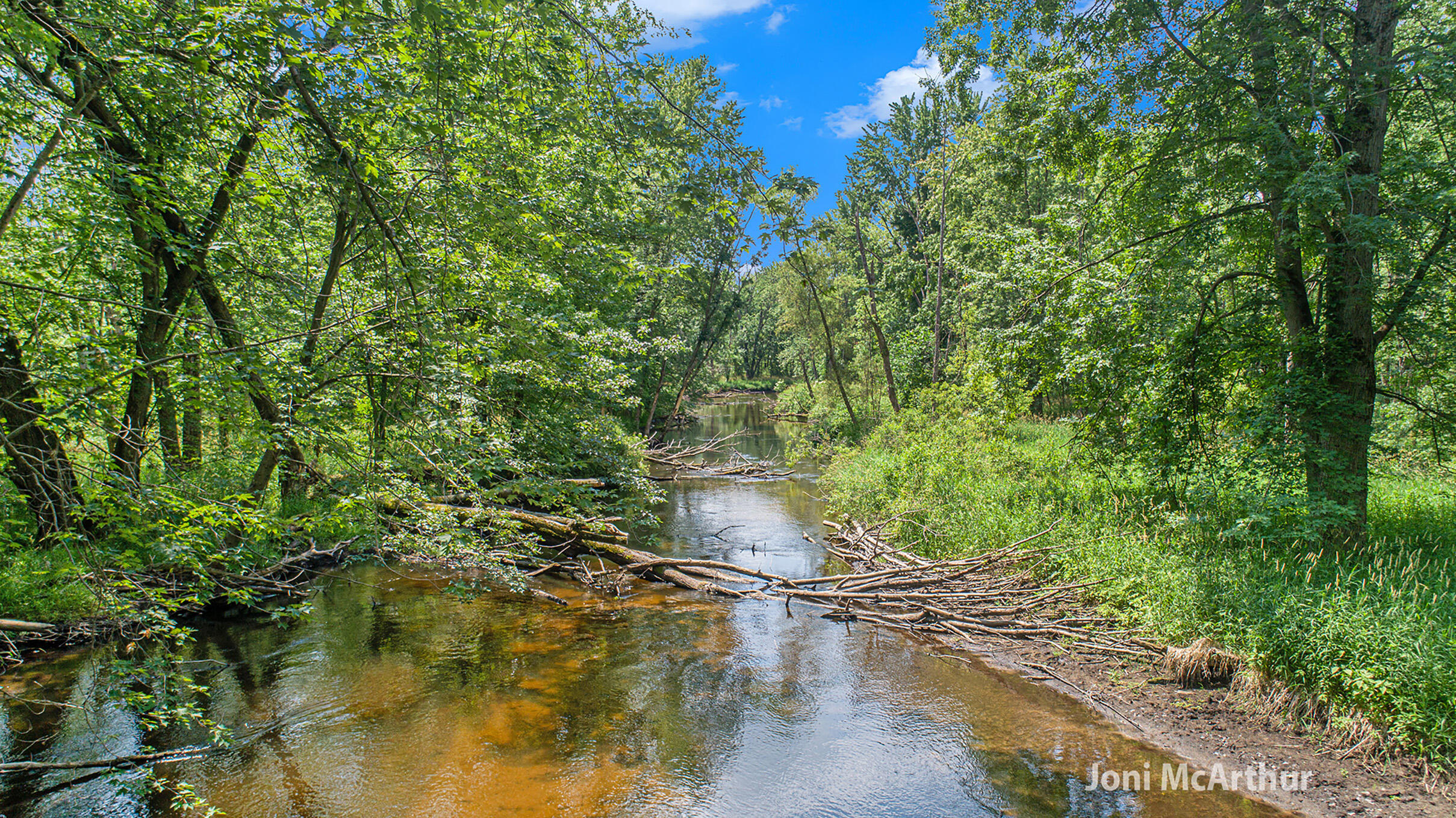 3610 Johnson Road Greenville, MI 48838 - Photo 2 of 17 DJI_0511