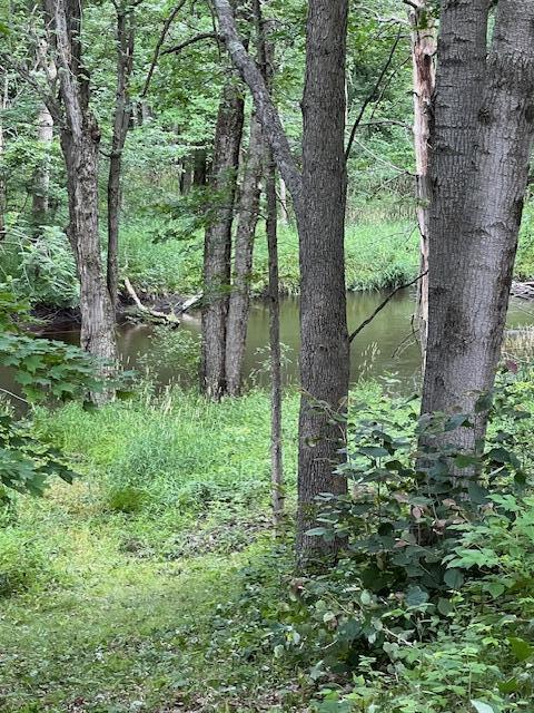 3610 Johnson Road Greenville, MI 48838 - Photo 3 of 17 IMG_7103