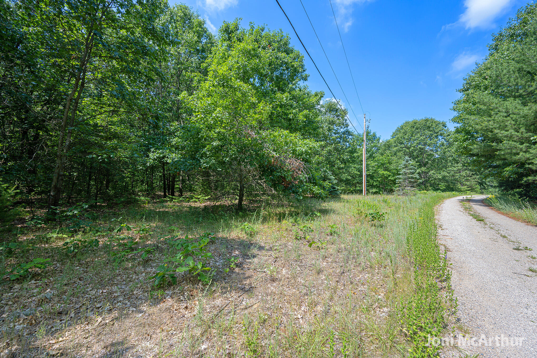 3610 Johnson Road Greenville, MI 48838 - Photo 6 of 17 3610SJohnson_1