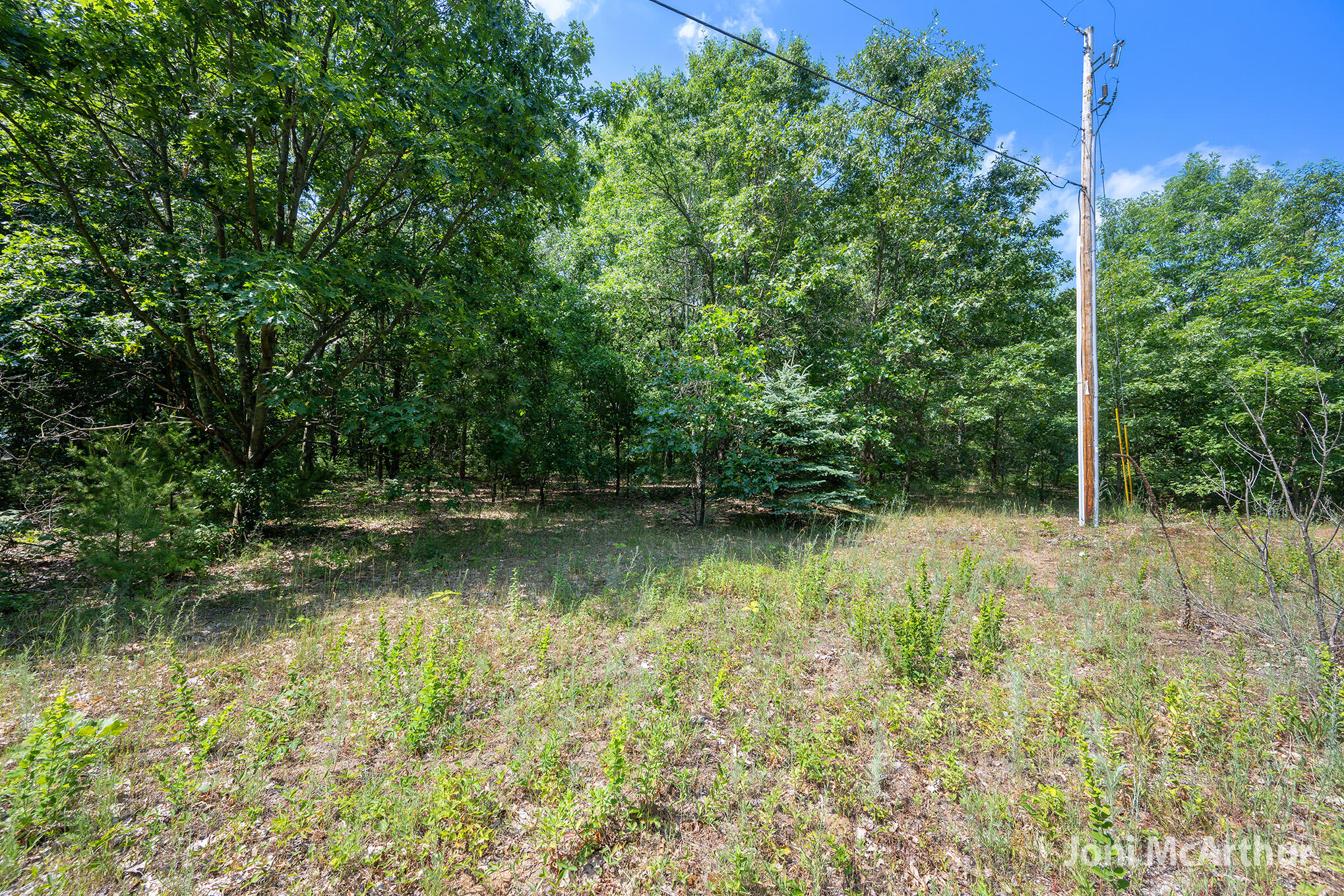 3610 Johnson Road Greenville, MI 48838 - Photo 7 of 17 3610SJohnson_2