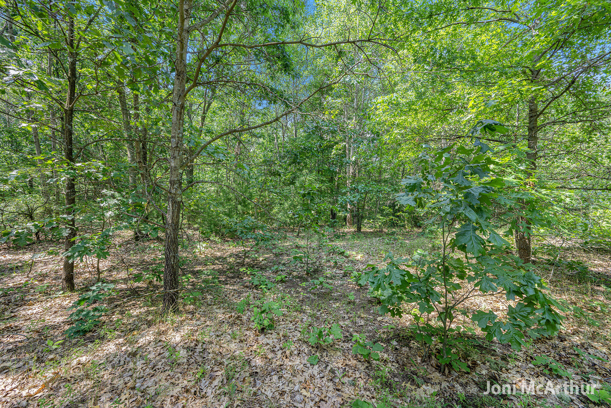 3610 Johnson Road Greenville, MI 48838 - Photo 8 of 17 3610SJohnson_3