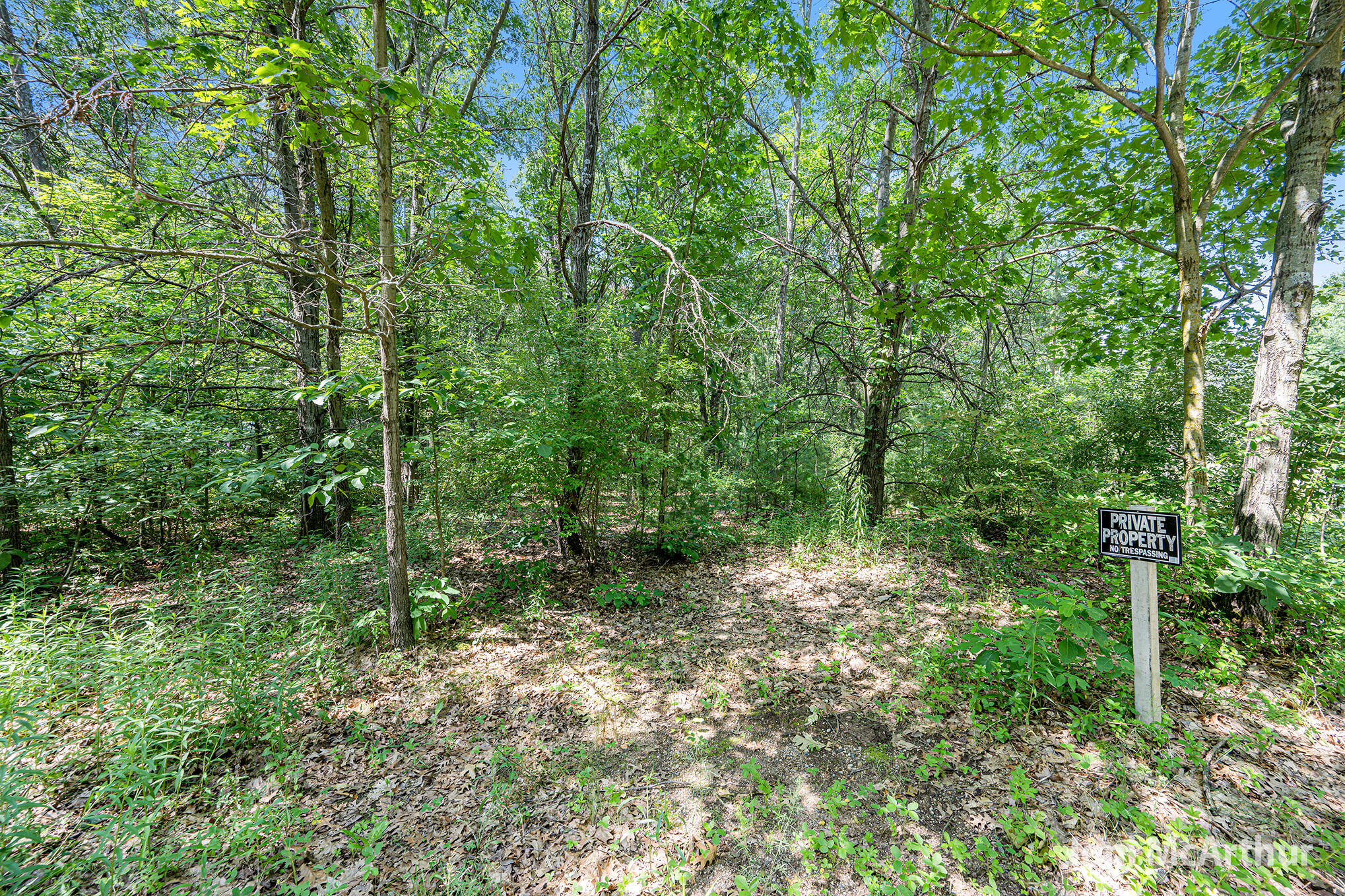 3610 Johnson Road Greenville, MI 48838 - Photo 9 of 17 3610SJohnson_7