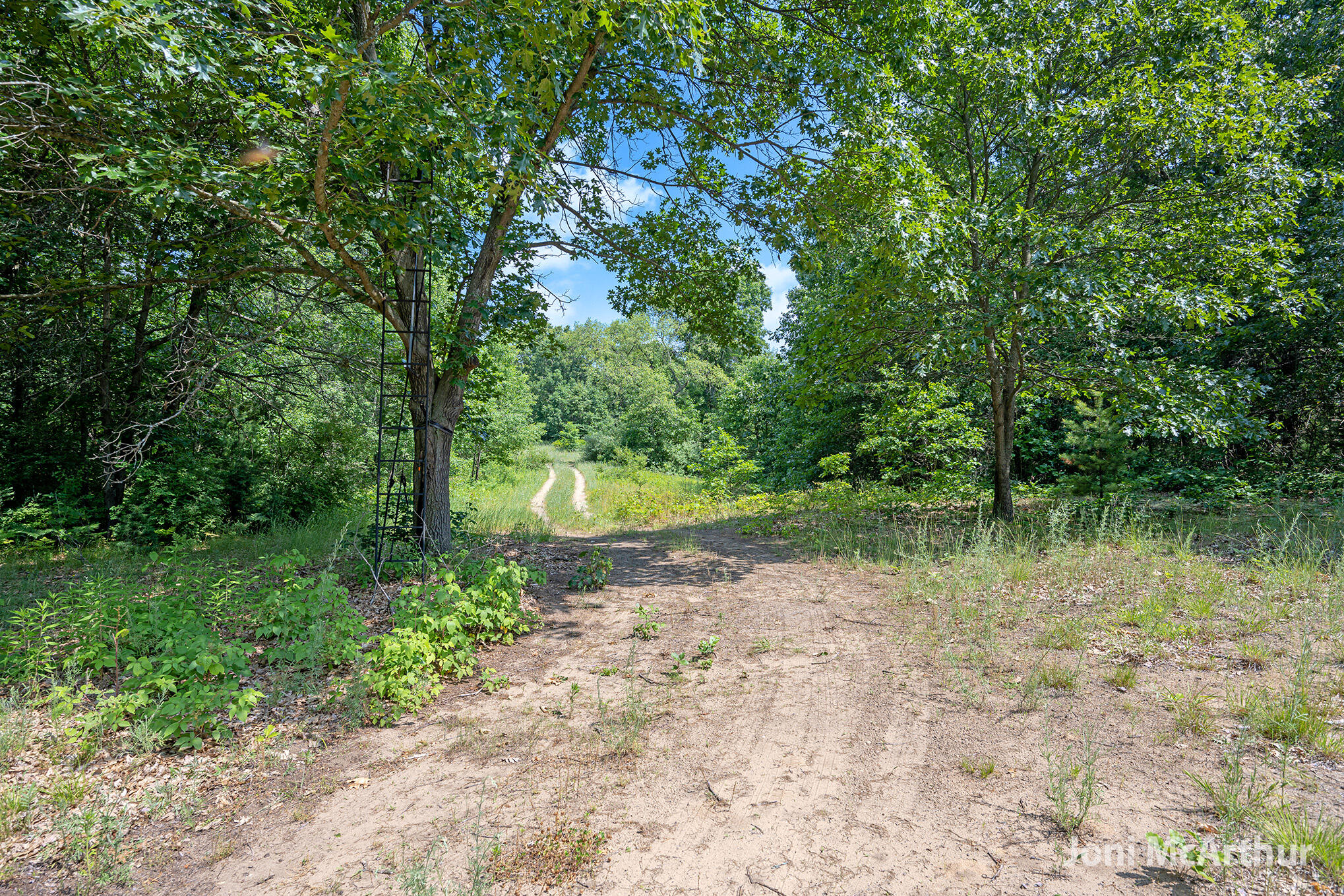 3610 Johnson Road Greenville, MI 48838 - Photo 10 of 17 3610SJohnson_9