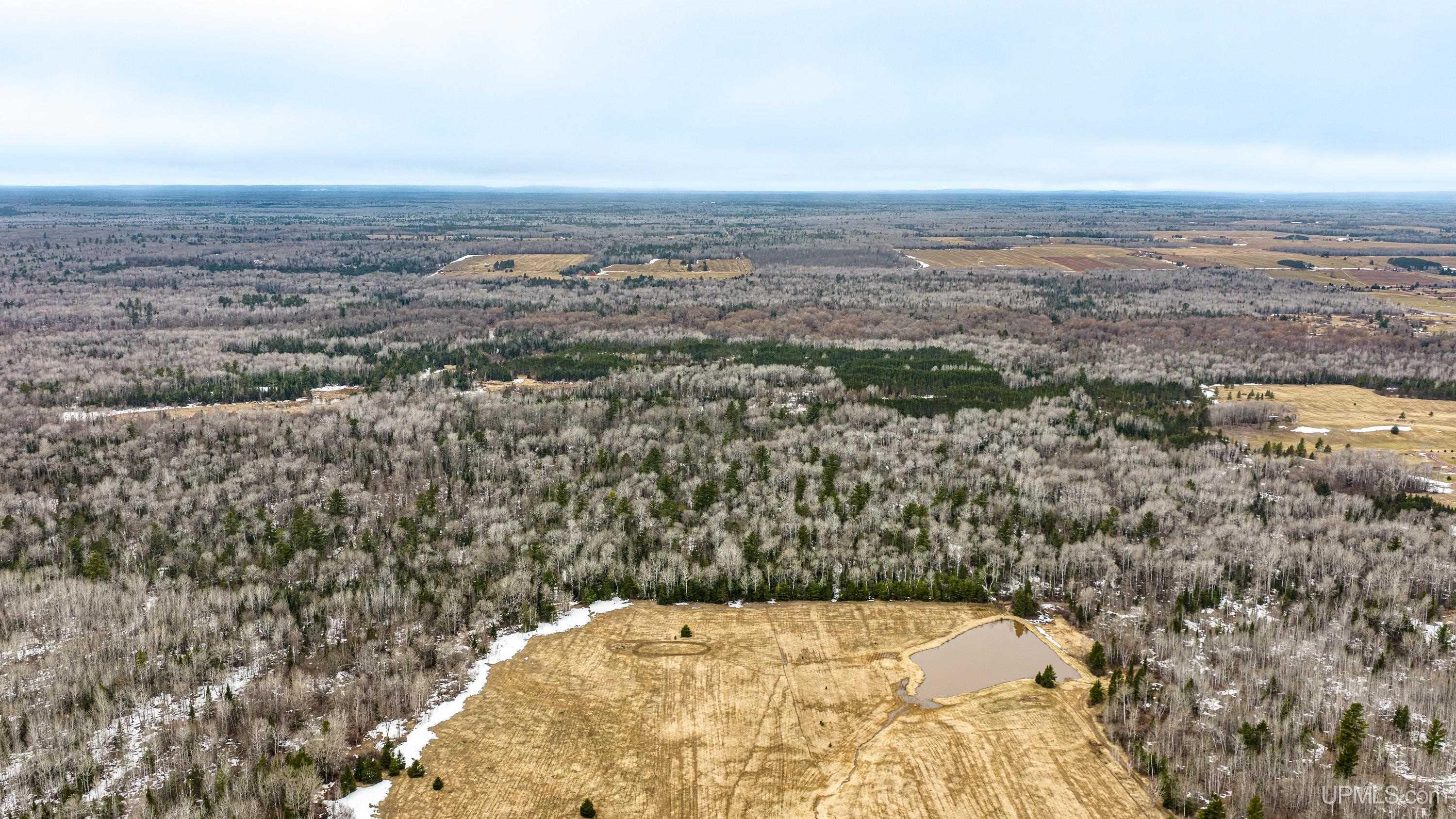 Tbd Off Of Choate Road, Unit NO INSURABLE LEGAL ACCESS Ewen, MI 49925 - Photo 29 of 30