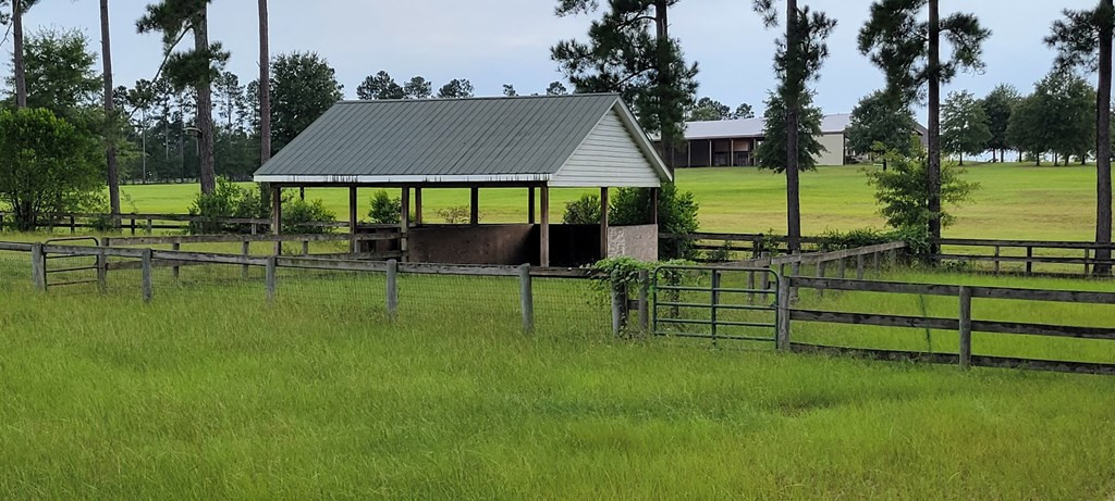 1724 Coleman Bridge Road Wagener, SC 29164 - Photo 12 of 35