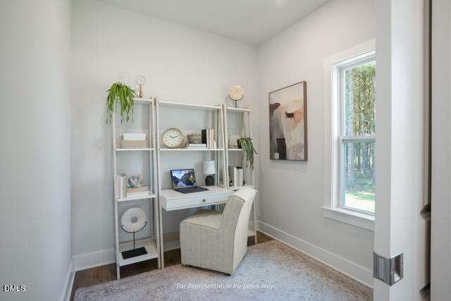 1637 Meadowfern Place Willow Spring, NC 27592 - Photo 14 of 20 Selma