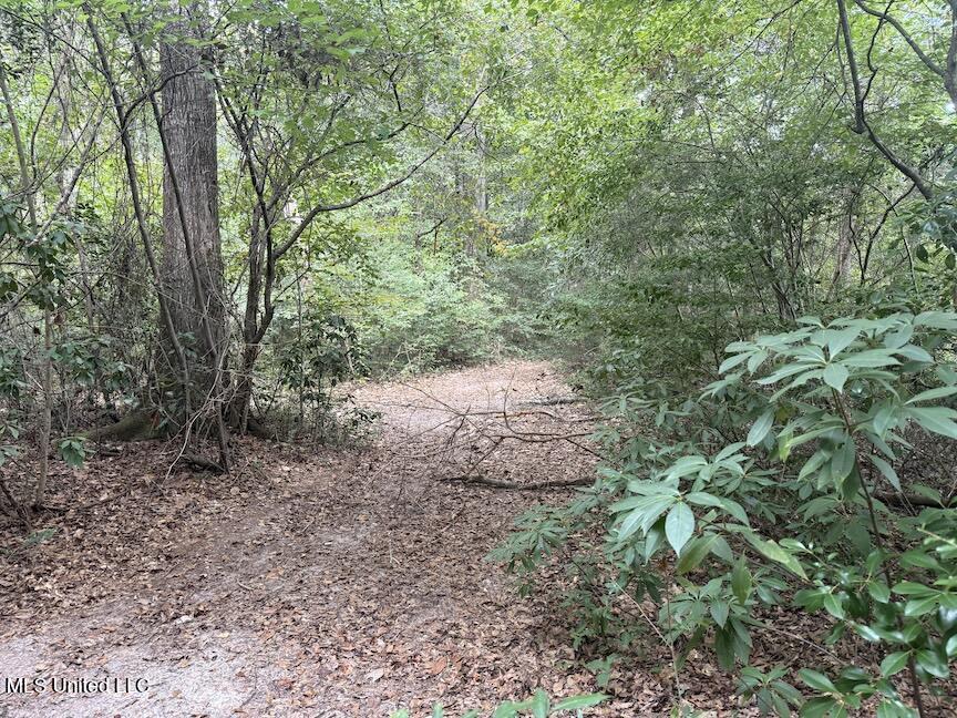 Creek Bank Road Perkinston, MS 39573 - Photo 5 of 7 IMG_2661