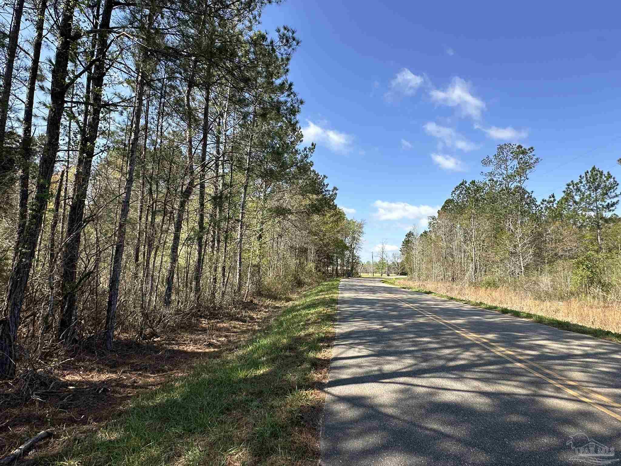 7-ac Snyder Road Frisco City, AL 36445 - Photo 13 of 13