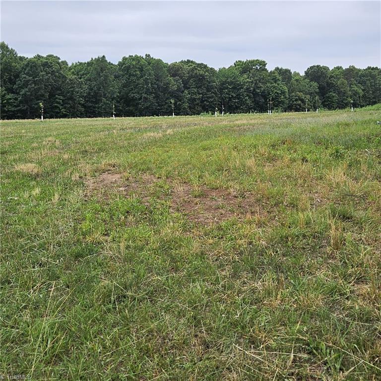 2025 Lace Knoll Road East Bend, NC 27018 - Photo 40 of 42