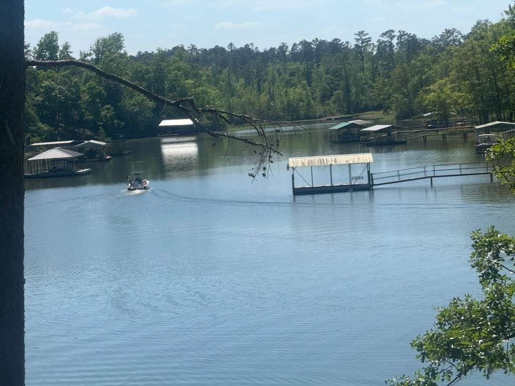 460 Lakeview Street Abbeville, AL 36310 - Photo 18 of 22