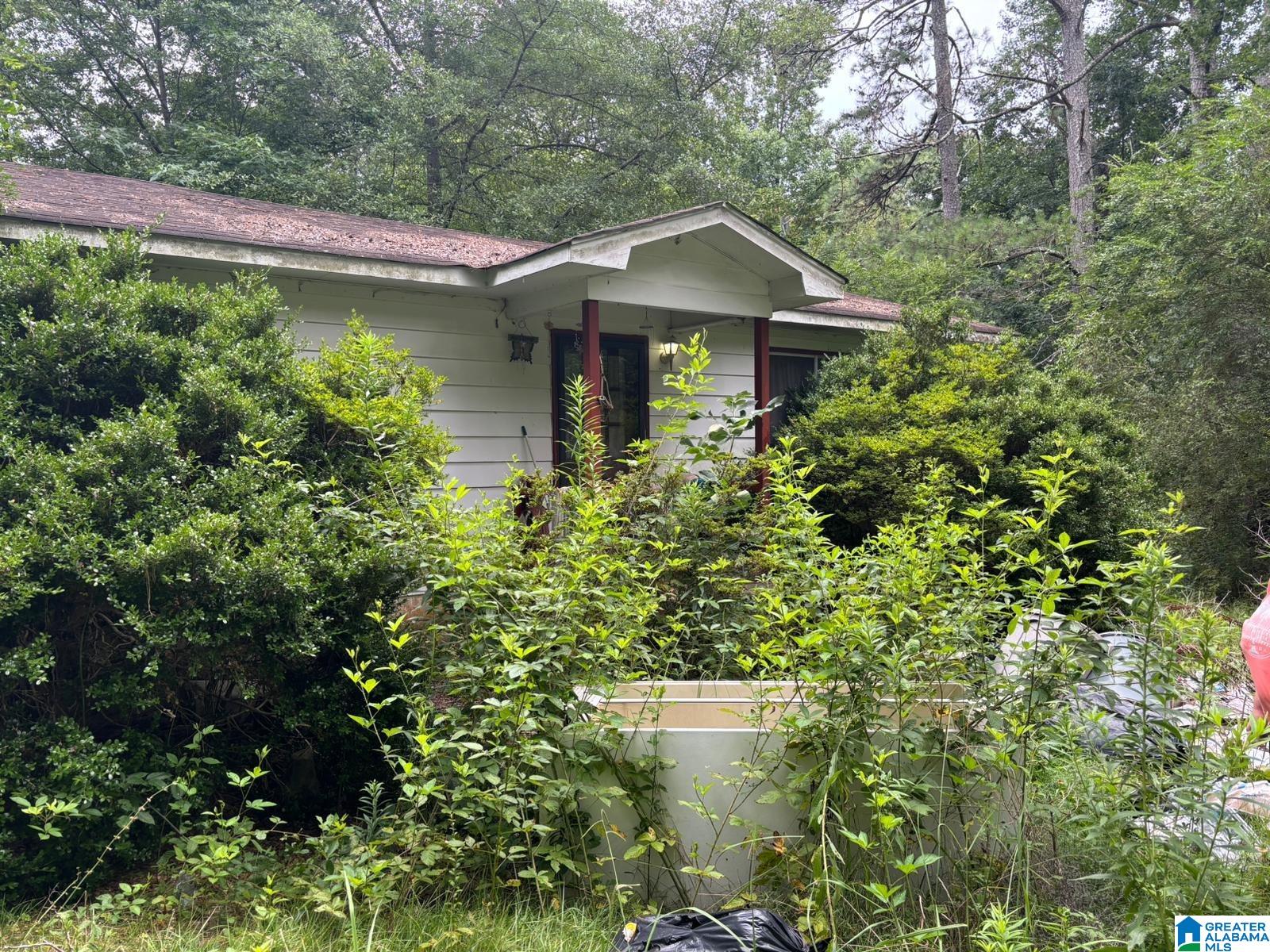 402 Spunky Hollow Road Remlap, AL 35133 - Photo 1 of 9