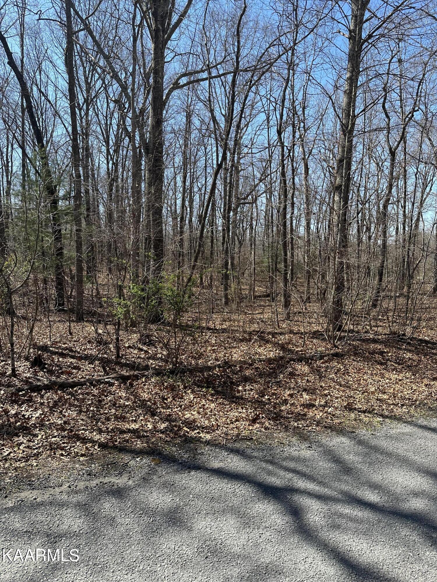 1030 Flathead Road Crossville, TN 38572 - Photo 2 of 4 6FBFC33C-9816-44D8-A573-6297BCDAE4F5