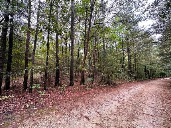 $35,000 | Lot 17 Lakeview Circle Northeast, Ranger, GA 30734