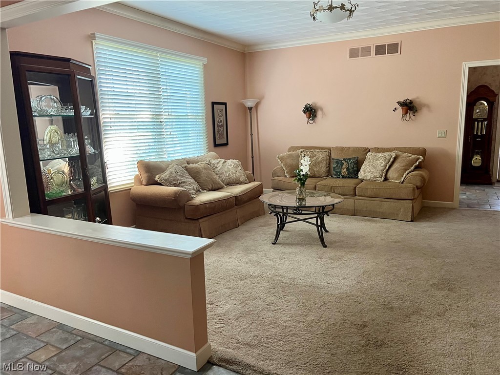 Carpeted living room featuring crown molding