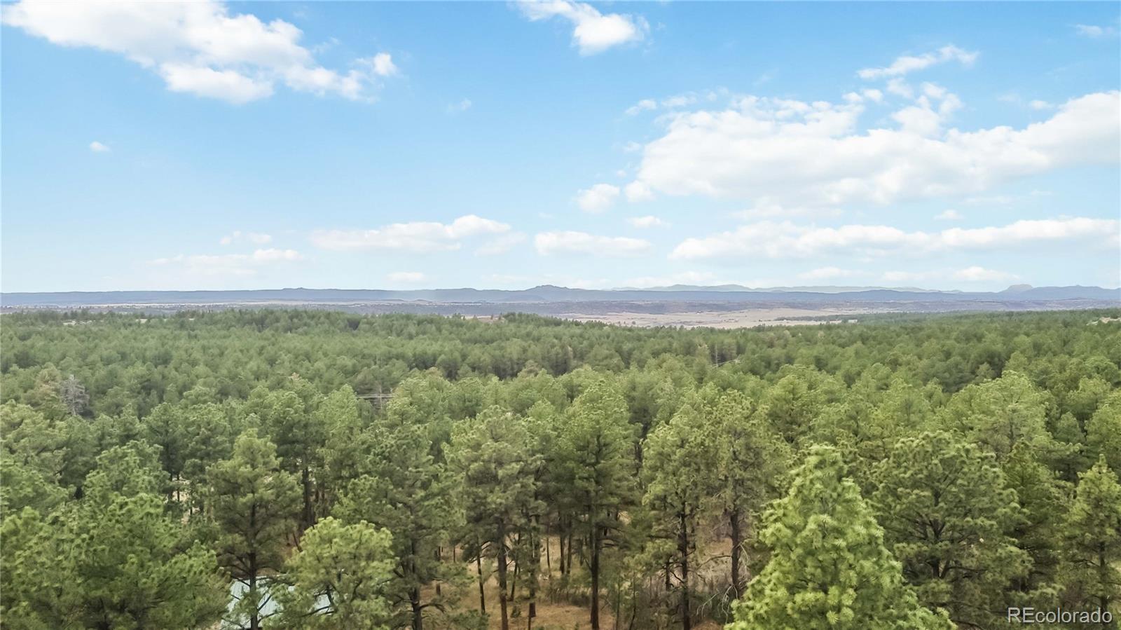 1125 Deerpath Road Franktown, CO 80116 - Photo 34 of 45