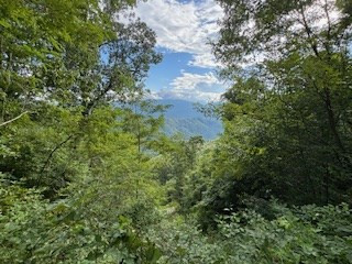 Lot 30 Hickory Cove Road Bryson City, NC 28713 - Photo 4 of 5