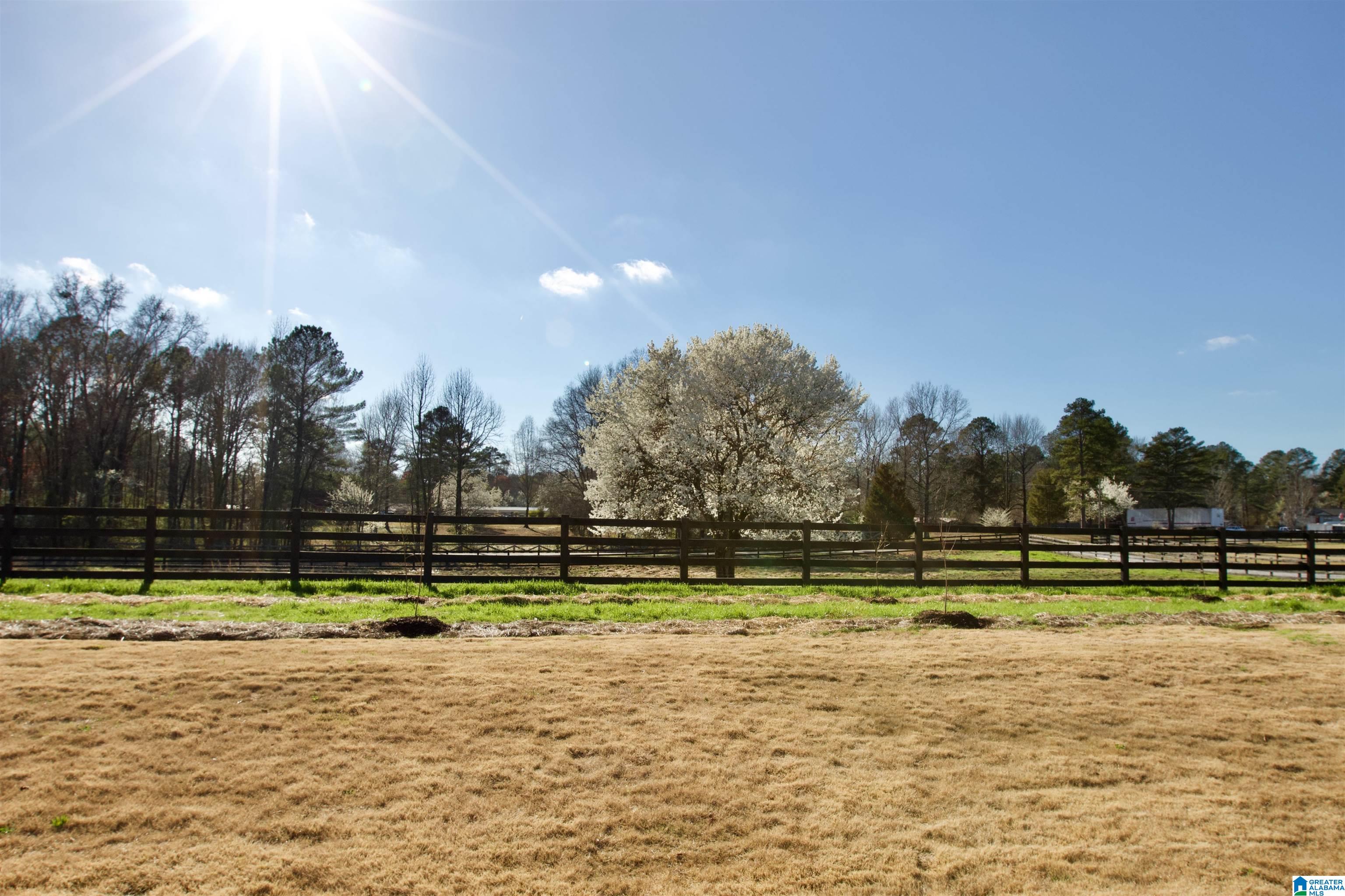 1396 Sun Valley Road Harpersville, AL 35078 - Photo 6 of 82