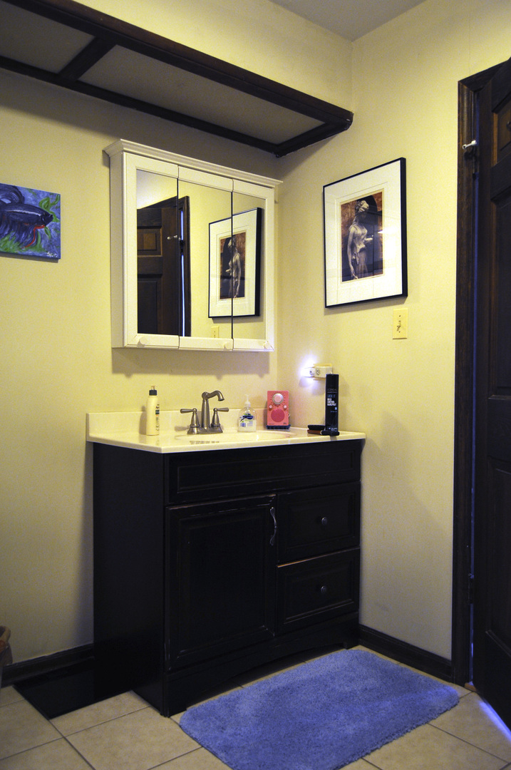 280 Fairbank Road Riverside, IL 60546 - Photo 14 of 33 a bathroom with a sink and a mirror