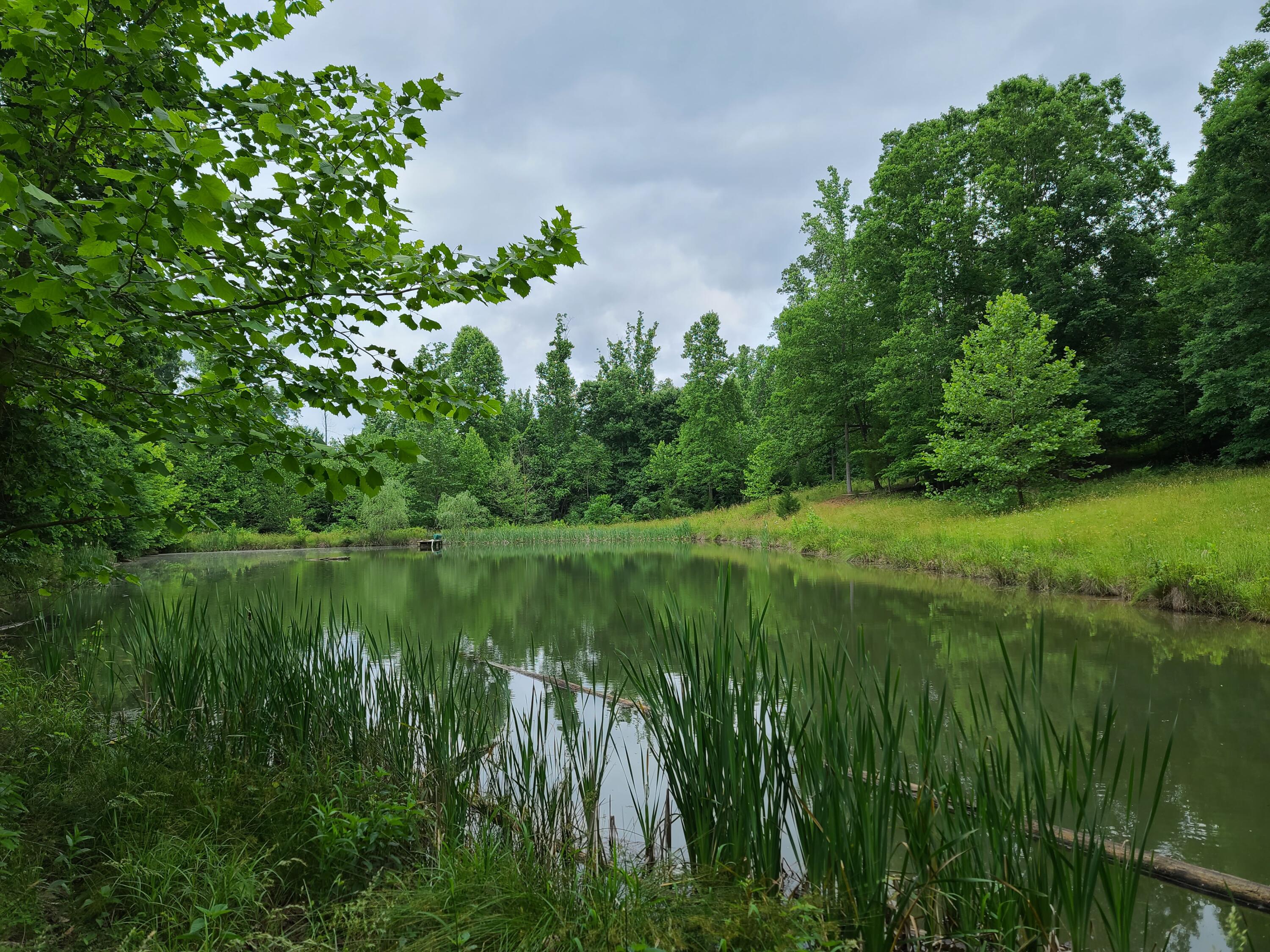 3294 Ayers Road Moneta, VA 24121 - Photo 38 of 41 a view of a lake with a yard