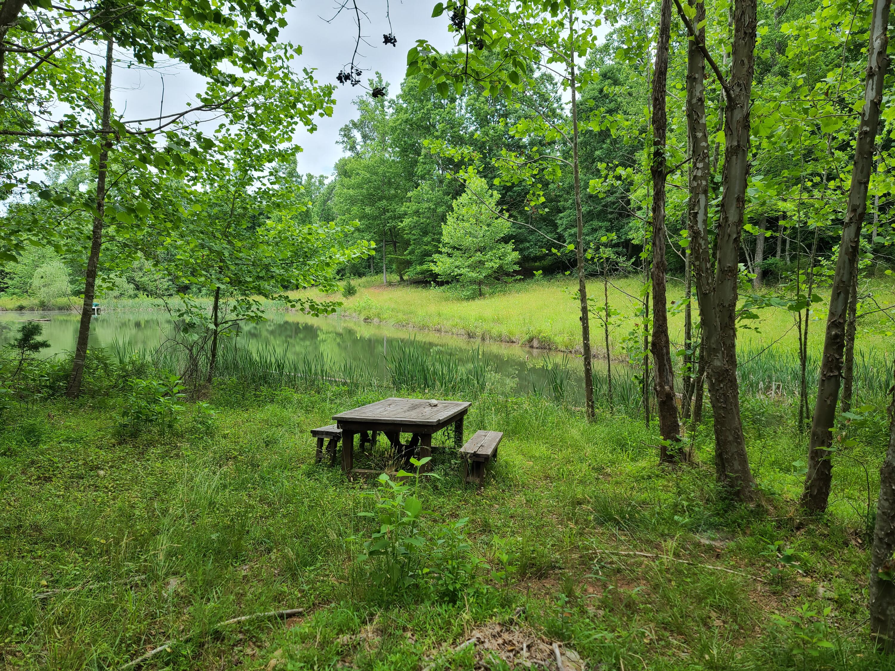 3294 Ayers Road Moneta, VA 24121 - Photo 39 of 41 a view of outdoor seating area with green space