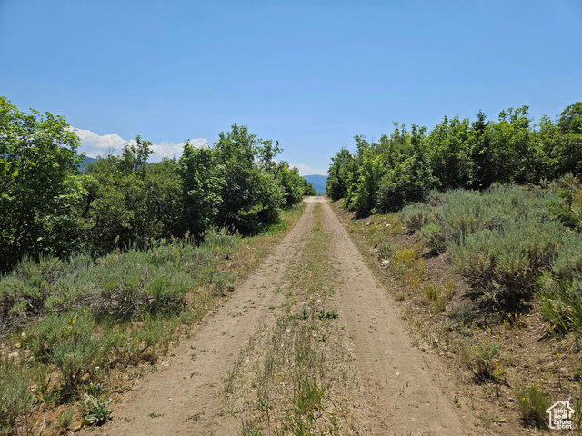 155 East Wolf Hollow Road South, Unit 155 Fairview, UT 84629 - Photo 11 of 13 View of street