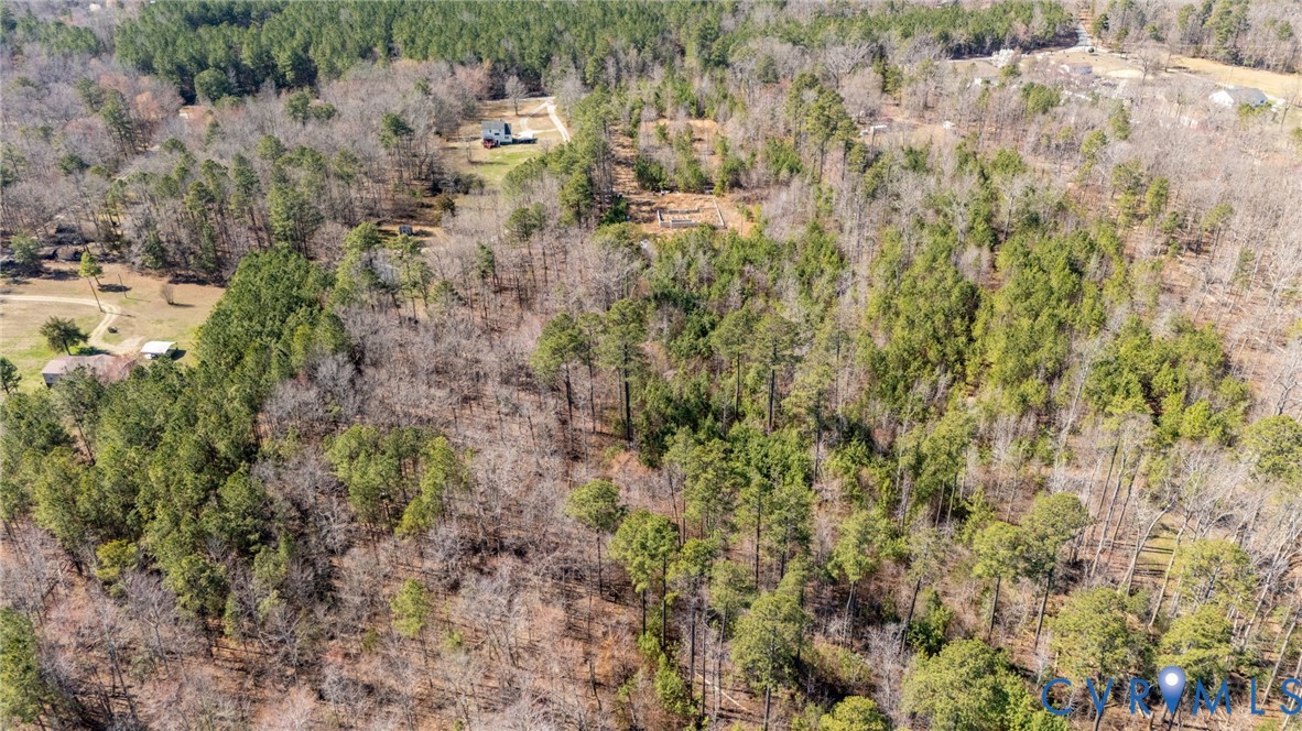 10111 Beaver Bridge Road Chesterfield, VA 23838 - Photo 11 of 17 a view of a yard with a tree