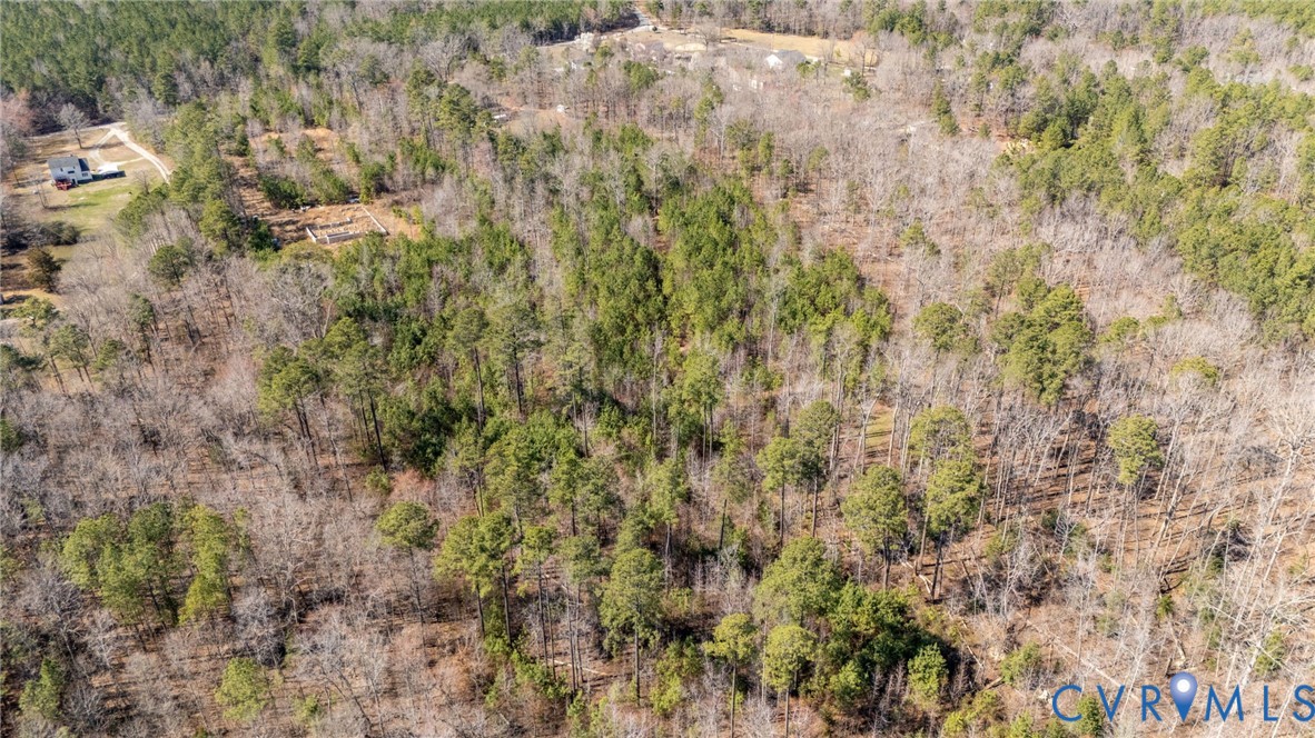 10111 Beaver Bridge Road Chesterfield, VA 23838 - Photo 12 of 17 a view of a yard