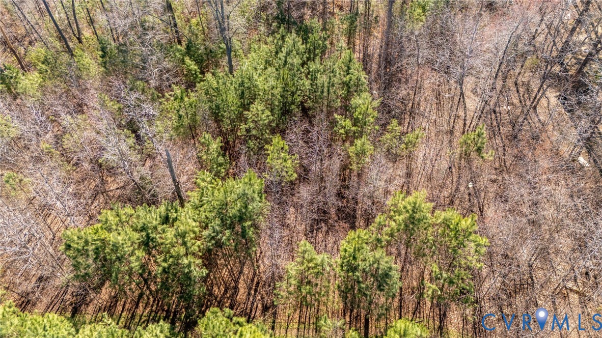 10111 Beaver Bridge Road Chesterfield, VA 23838 - Photo 15 of 17