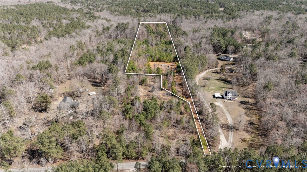 10111 Beaver Bridge Road Chesterfield, VA 23838 - Photo 3 of 17 a view of a forest with a building in the background