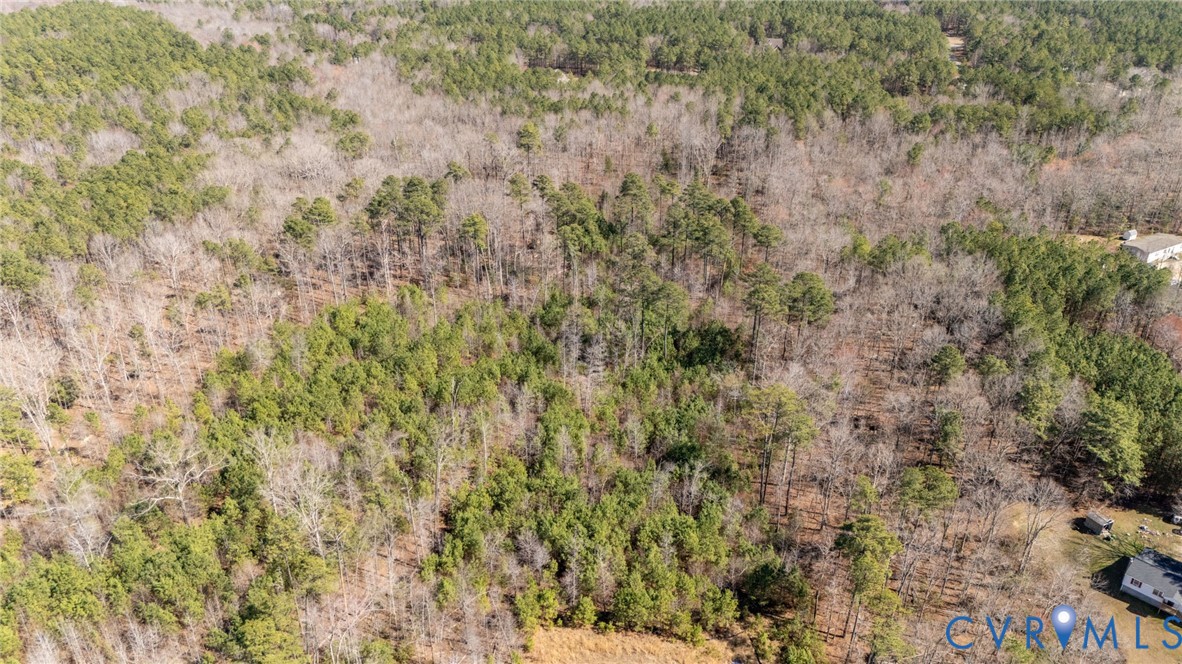 10111 Beaver Bridge Road Chesterfield, VA 23838 - Photo 6 of 17 a view of a dry yard