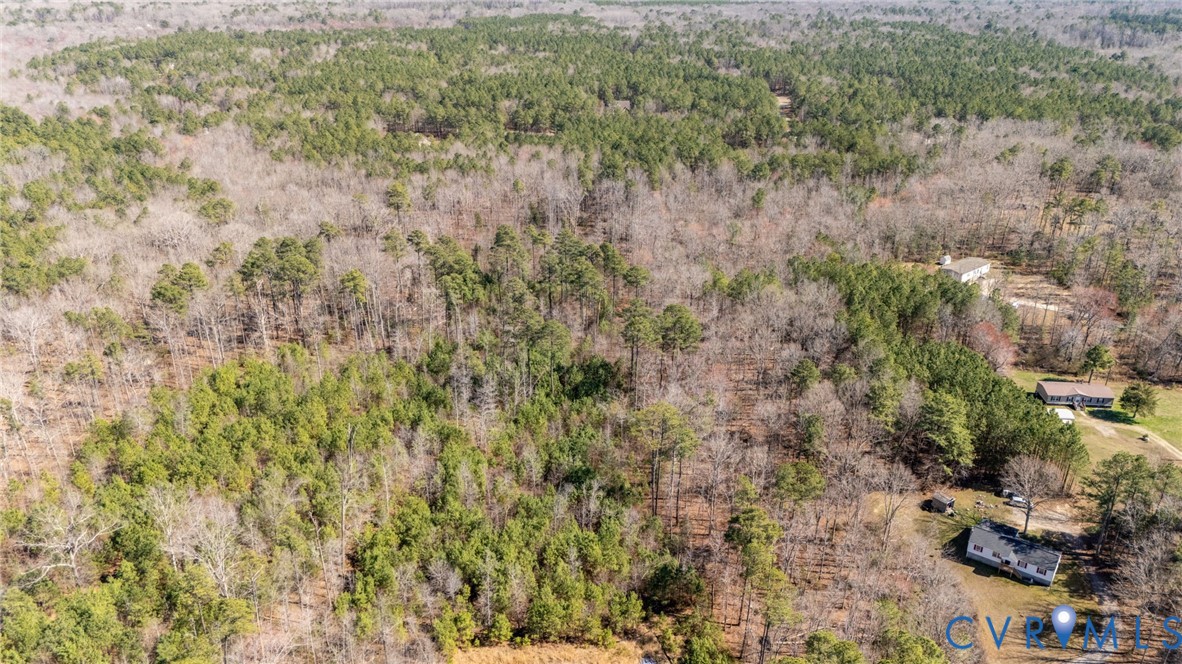 10111 Beaver Bridge Road Chesterfield, VA 23838 - Photo 7 of 17 a view of a yard with trees