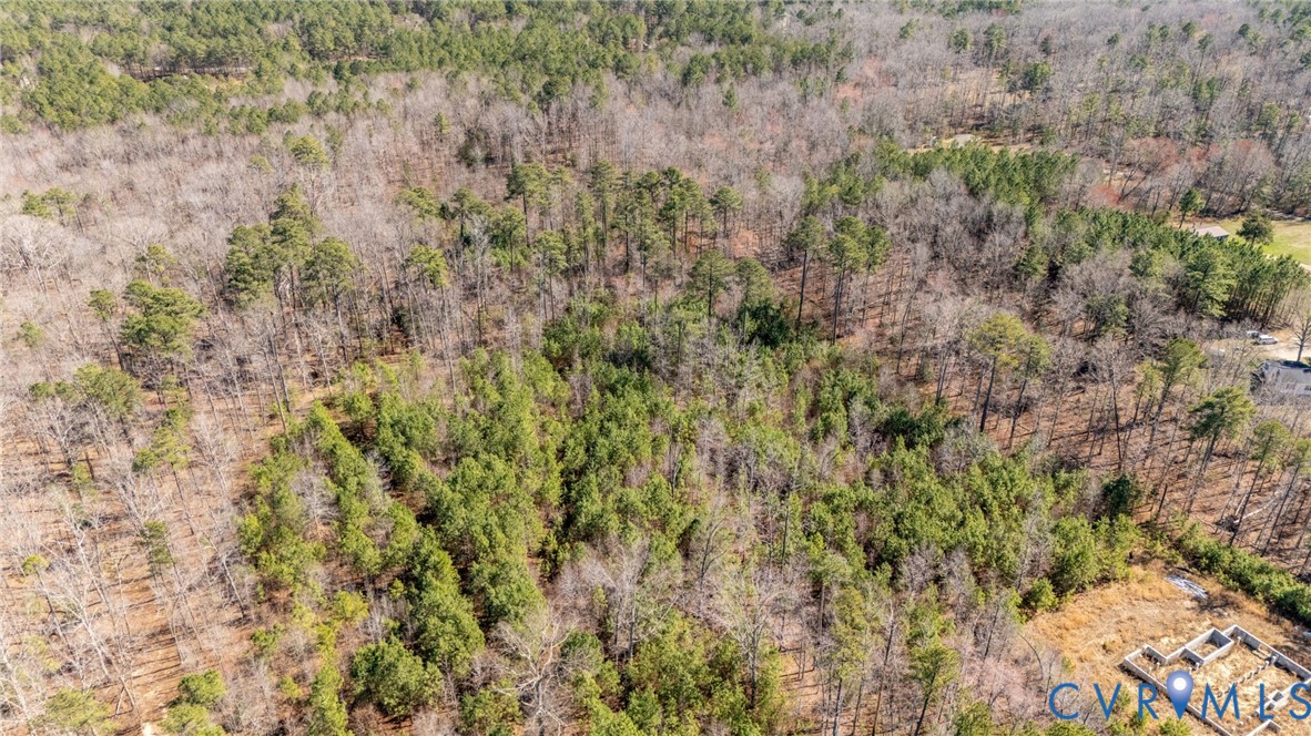 10111 Beaver Bridge Road Chesterfield, VA 23838 - Photo 8 of 17 a view of a lush green forest with large trees