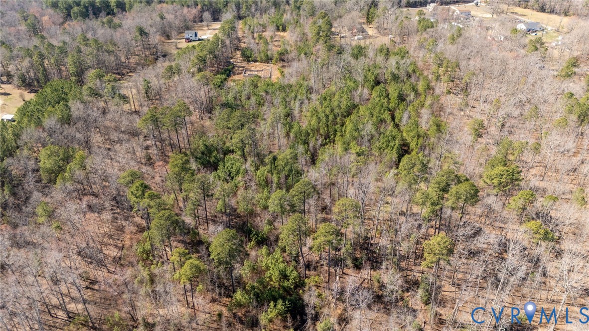 10111 Beaver Bridge Road Chesterfield, VA 23838 - Photo 9 of 17 a view of a dry yard with large trees