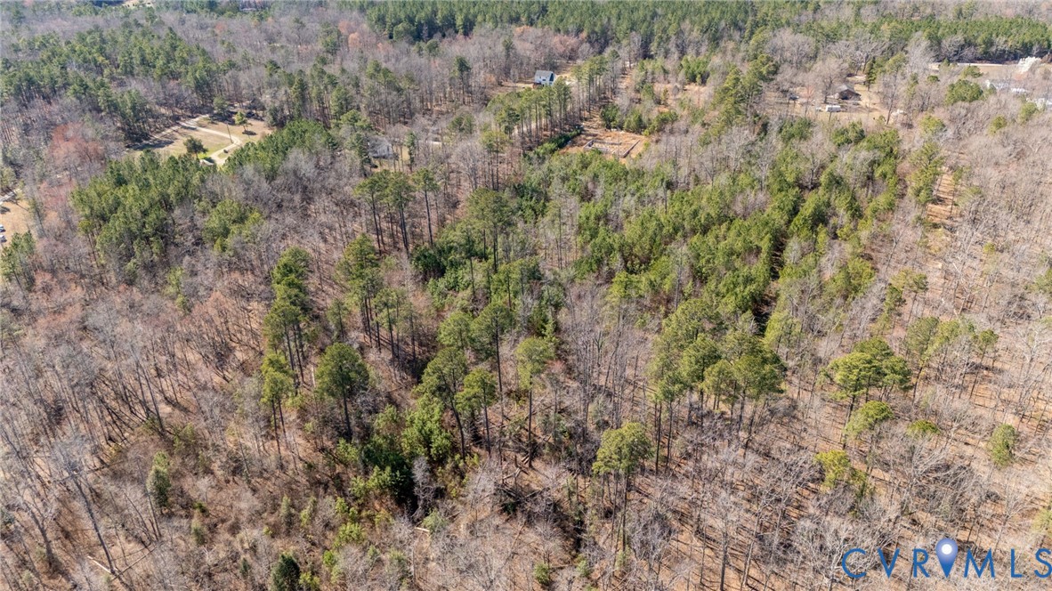10111 Beaver Bridge Road Chesterfield, VA 23838 - Photo 10 of 17 a view of a forest with a tree